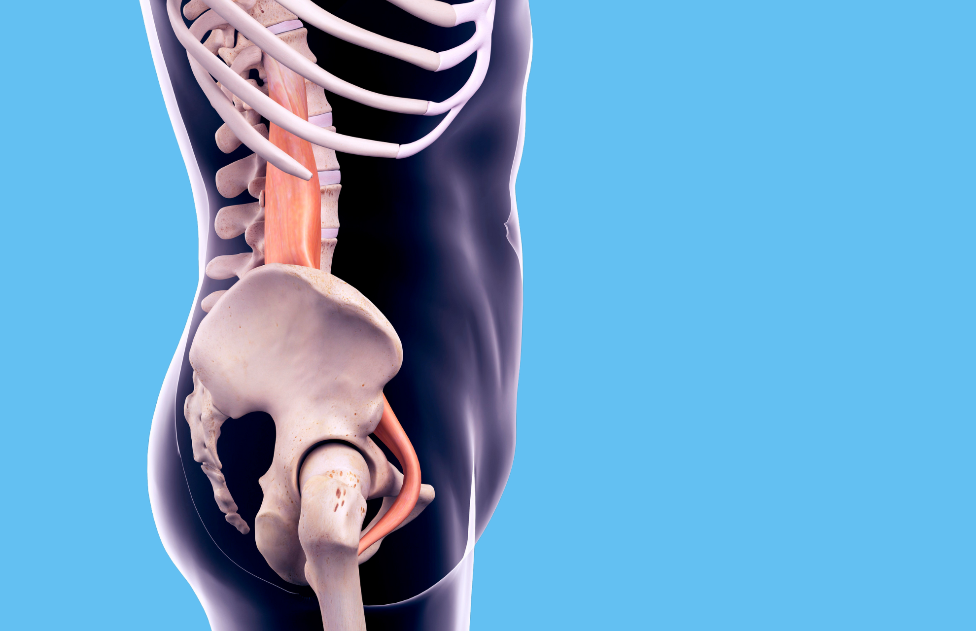 Psoas 2.0